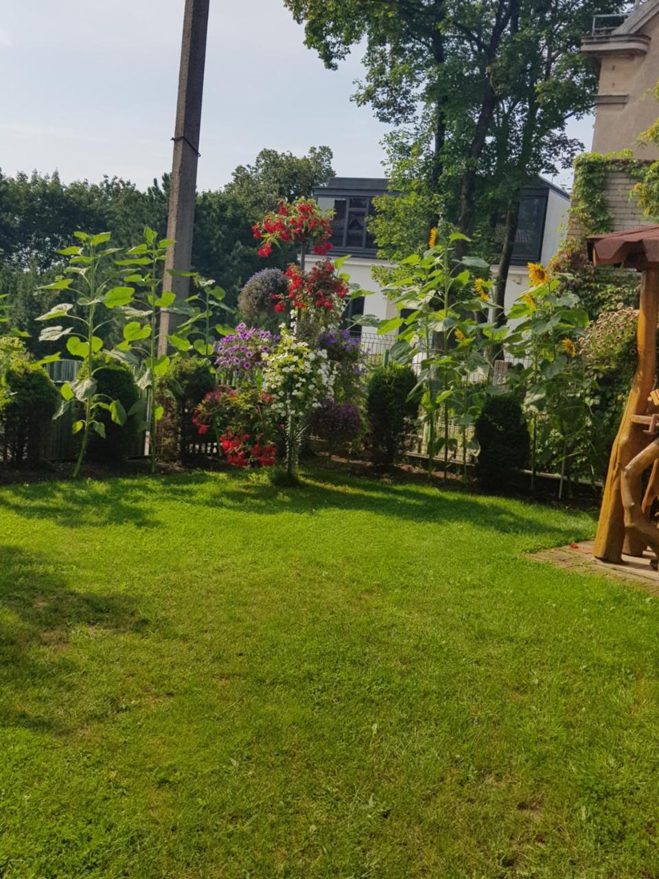 Petro Delux Apartments كاوناس المظهر الخارجي الصورة